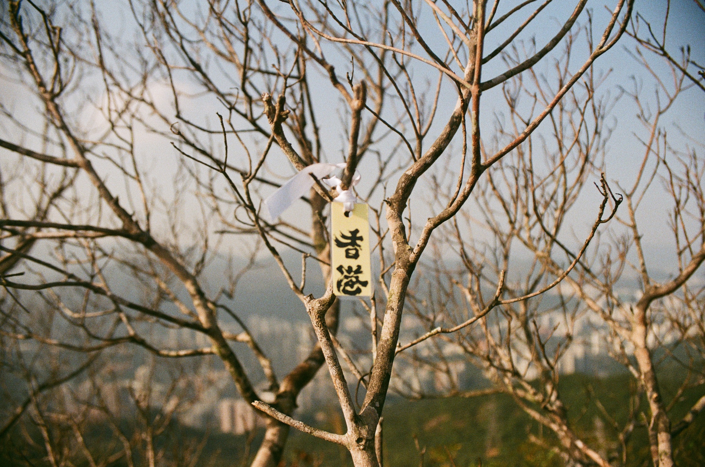 Kodak GOLD #10